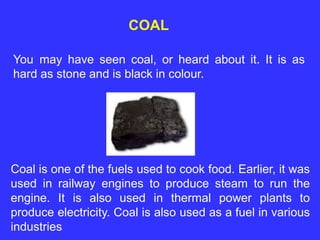 COAL
You may have seen coal, or heard about it. It is as
hard as stone and is black in colour.
Coal is one of the fuels used to cook food. Earlier, it was
used in railway engines to produce steam to run the
engine. It is also used in thermal power plants to
produce electricity. Coal is also used as a fuel in various
industries
 