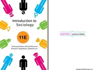 Copyright ©2018 W.W. Norton, Inc.
Introduction to
Sociology
AnthonyGiddens,MitchellDuneier,
Richard P. Appelbaum, Deborah Carr
CHAPTER 5 Lecture Slides
11E
 