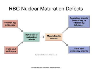 Radioactive Rbcs Nursing Anemia Drugs FOr Pharmacology and Therapeutics | PPTX