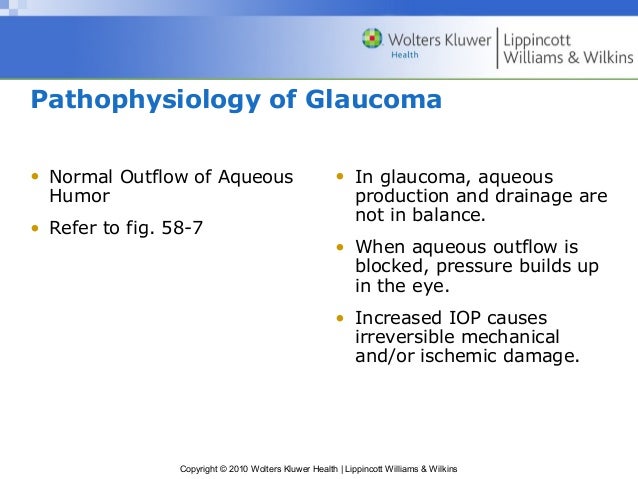 pathophysiology of glaucoma Glaucoma lecture series: a complete lecture on the pathophysiology of glaucoma presented by dr ramesh ayyala. pathophysiology of glaucoma Glaucoma lecture series: a complete lecture on the pathophysiology of glaucoma presented by dr ramesh ayyala.