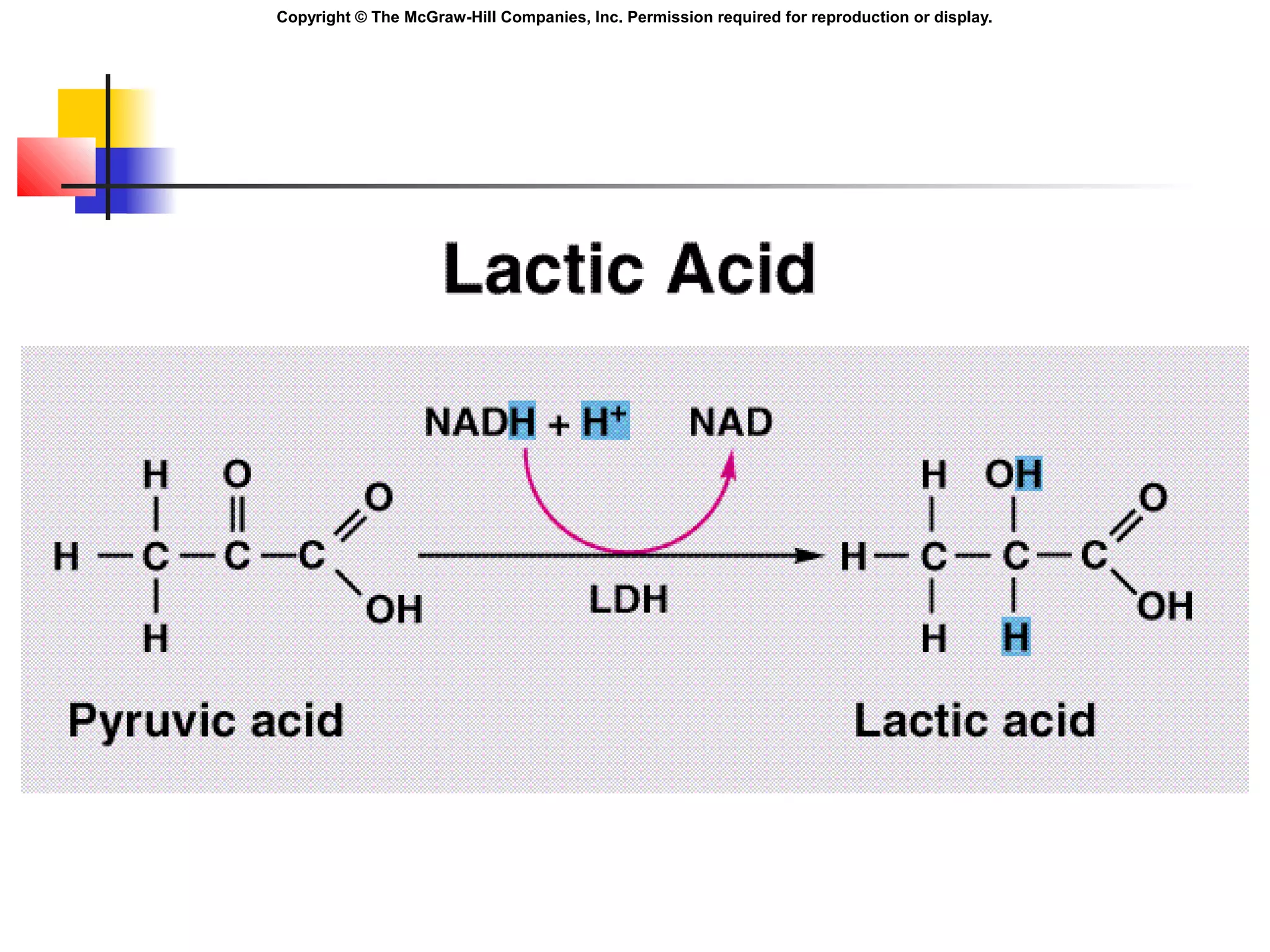 Copyright © The McGraw-Hill Companies, Inc. Permission required for reproduction or display.
 
