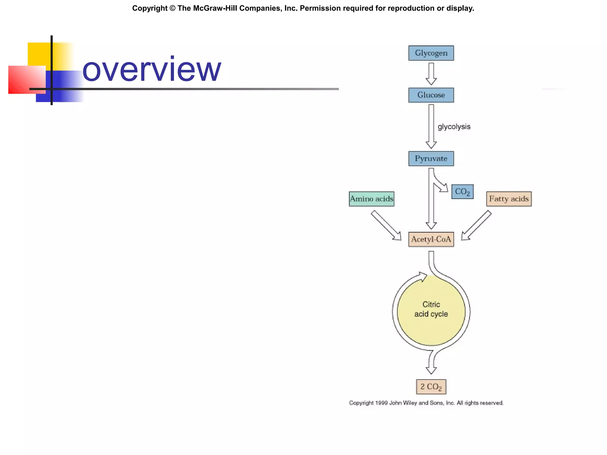 Copyright © The McGraw-Hill Companies, Inc. Permission required for reproduction or display.
overview
 