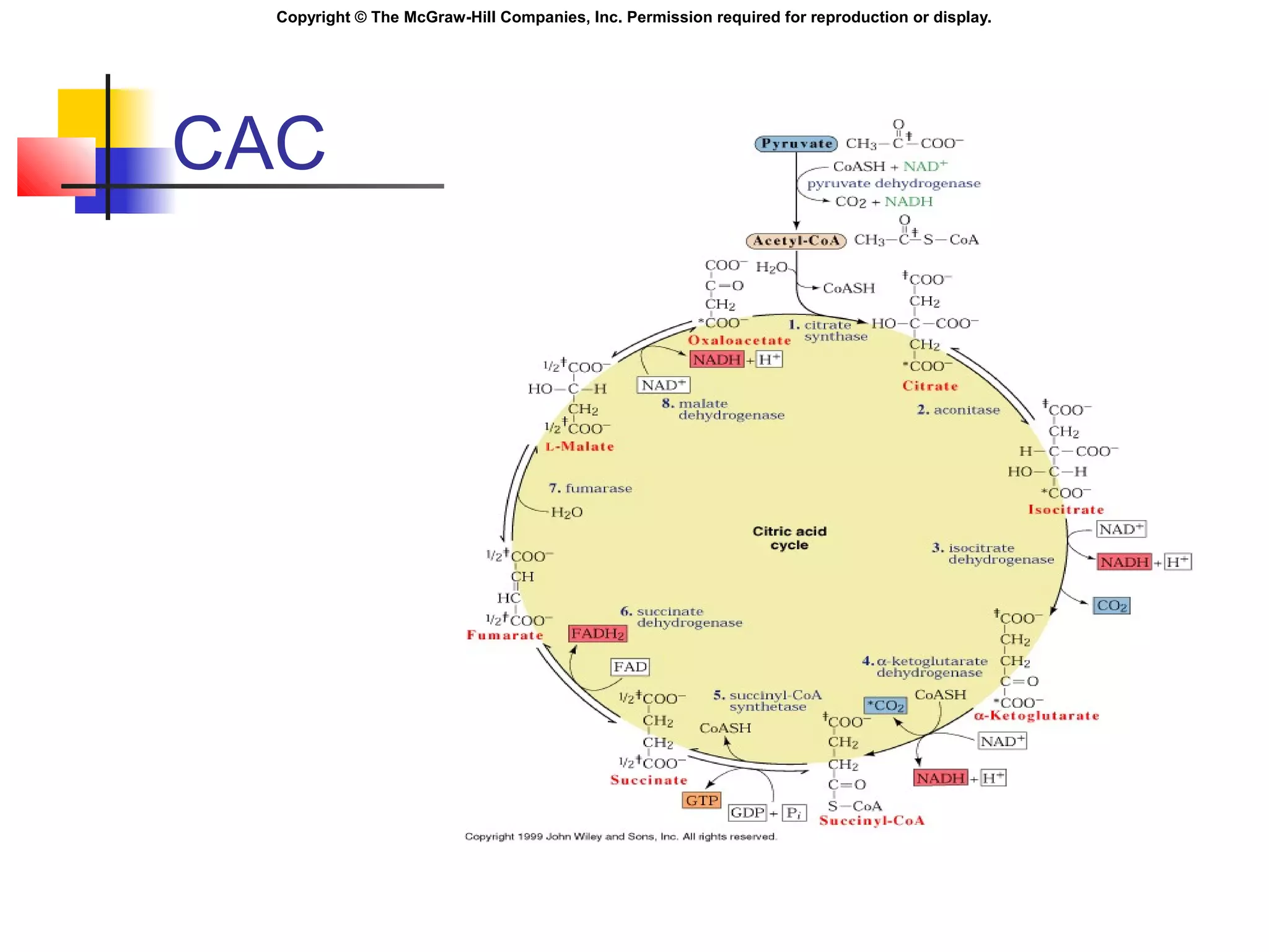 Copyright © The McGraw-Hill Companies, Inc. Permission required for reproduction or display.
CAC
 