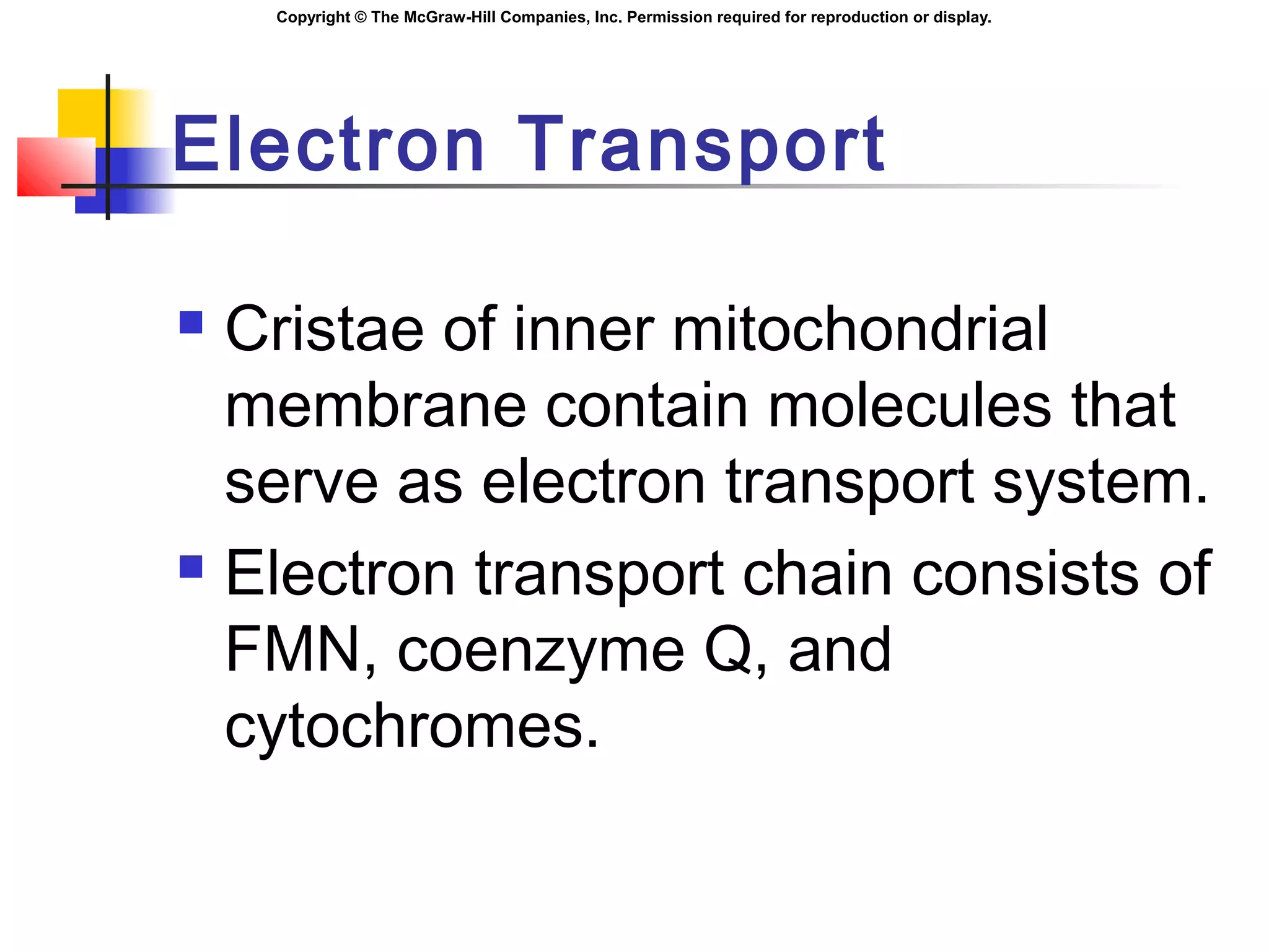 Copyright © The McGraw-Hill Companies, Inc. Permission required for reproduction or display.
Electron Transport
 Cristae of inner mitochondrial
membrane contain molecules that
serve as electron transport system.
 Electron transport chain consists of
FMN, coenzyme Q, and
cytochromes.
 