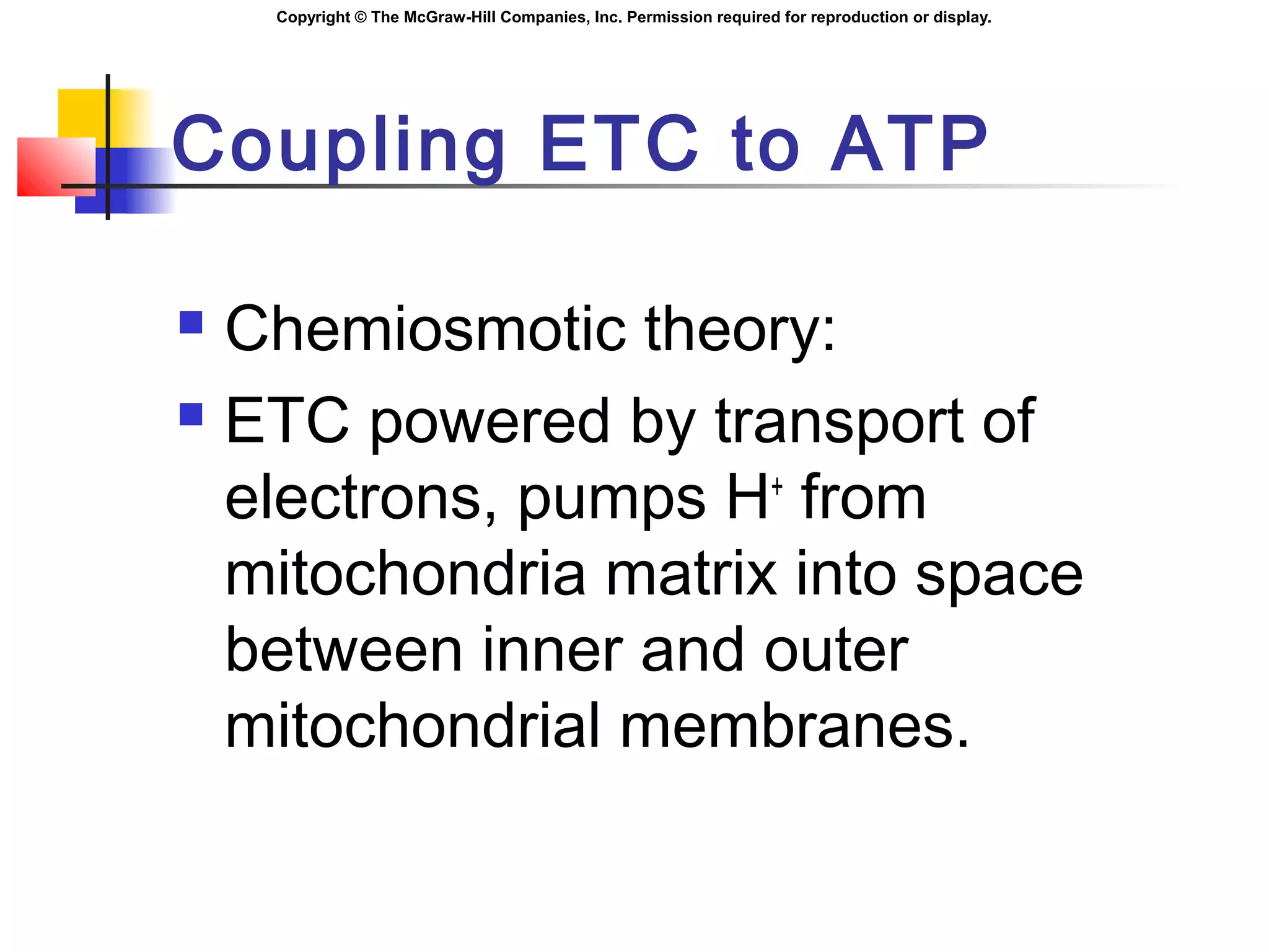 Copyright © The McGraw-Hill Companies, Inc. Permission required for reproduction or display.
Coupling ETC to ATP
 Chemiosmotic theory:
 ETC powered by transport of
electrons, pumps H+
from
mitochondria matrix into space
between inner and outer
mitochondrial membranes.
 