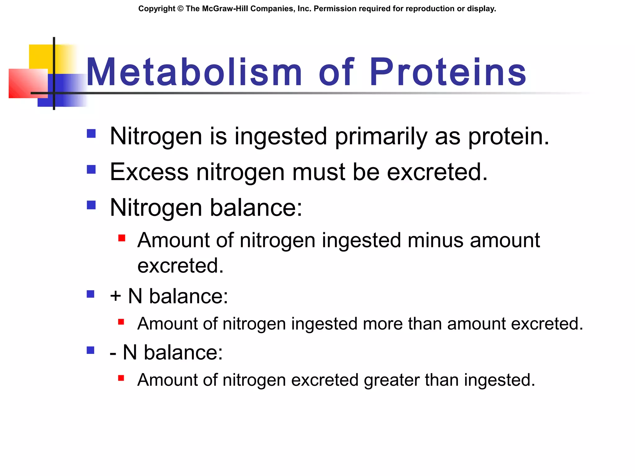 Copyright © The McGraw-Hill Companies, Inc. Permission required for reproduction or display.
Metabolism of Proteins
 Nitrogen is ingested primarily as protein.
 Excess nitrogen must be excreted.
 Nitrogen balance:
 Amount of nitrogen ingested minus amount
excreted.
 + N balance:
 Amount of nitrogen ingested more than amount excreted.
 - N balance:
 Amount of nitrogen excreted greater than ingested.
 