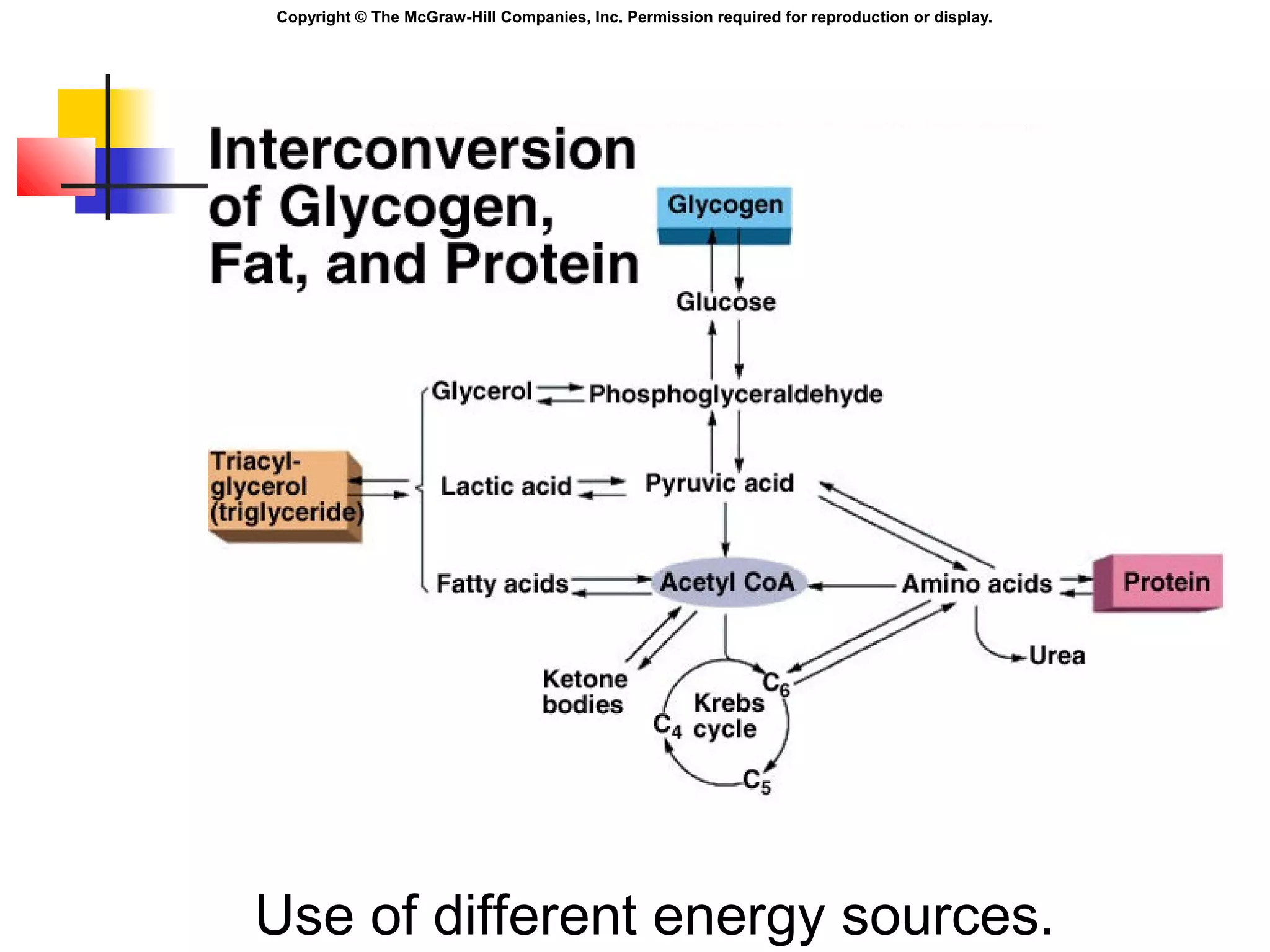 Copyright © The McGraw-Hill Companies, Inc. Permission required for reproduction or display.
Use of different energy sources.
 