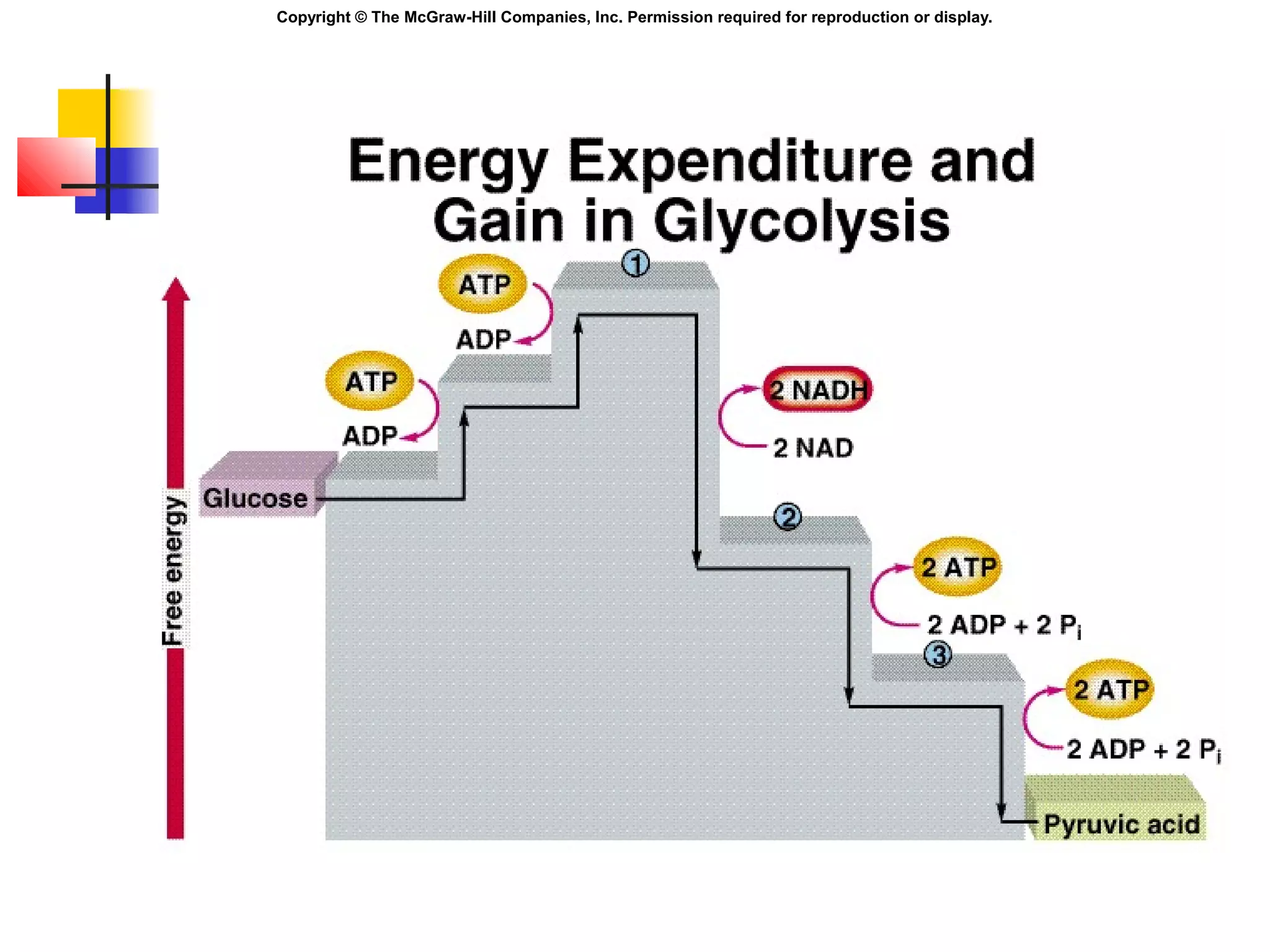 Copyright © The McGraw-Hill Companies, Inc. Permission required for reproduction or display.
 