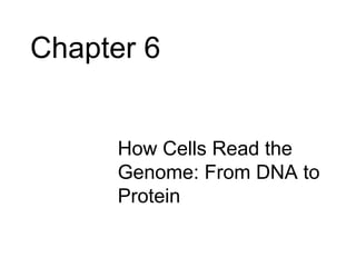 Chapter 6
• How Cells Read the
Genome: From DNA to
Protein