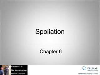 Spoliation   Chapter 6 