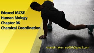 Edexcel IGCSE
Human Biology
Chapter 06
Chemical Coordination
chandimakumara007@gmail.com
 