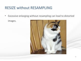 RESIZE without RESAMPLING
• Excessive enlarging without resampling can lead to distorted
images.
18
 