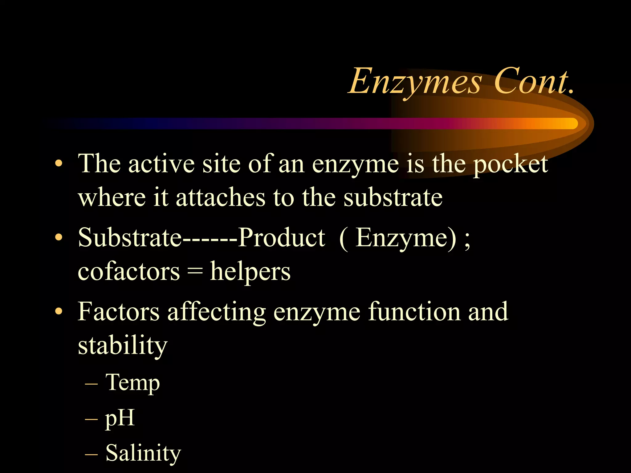 Enzymes Cont. 
• The active site of an enzyme is the pocket 
where it attaches to the substrate 
• Substrate------Product ( Enzyme) ; 
cofactors = helpers 
• Factors affecting enzyme function and 
stability 
– Temp 
– pH 
– Salinity 
 