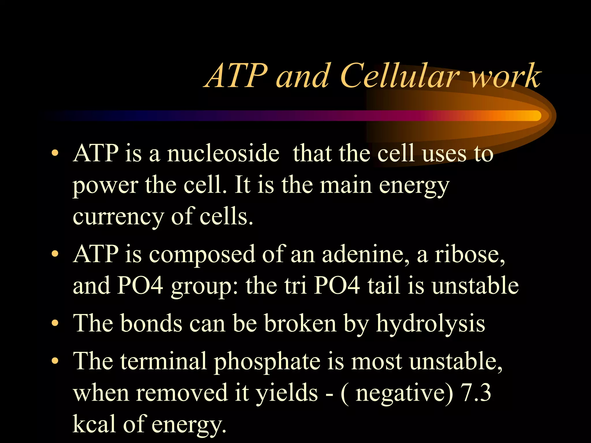 ATP and Cellular work 
• ATP is a nucleoside that the cell uses to 
power the cell. It is the main energy 
currency of cells. 
• ATP is composed of an adenine, a ribose, 
and PO4 group: the tri PO4 tail is unstable 
• The bonds can be broken by hydrolysis 
• The terminal phosphate is most unstable, 
when removed it yields - ( negative) 7.3 
kcal of energy. 
 