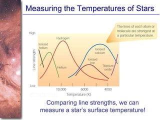 Measuring the Temperatures of Stars Comparing line strengths, we can measure a star’s surface temperature! 