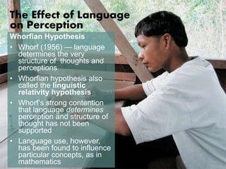 The Effect of Language 
on Perception 
Whorfian Hypothesis 
• Whorf (1956) — language 
determines the very 
structure of thoughts and 
perceptions 
• Whorfian hypothesis also 
called the linguistic 
relativity hypothesis 
• Whorf’s strong contention 
that language determines 
perception and structure of 
thought has not been 
supported 
• Language use, however, 
has been found to influence 
particular concepts, as in 
mathematics 
 