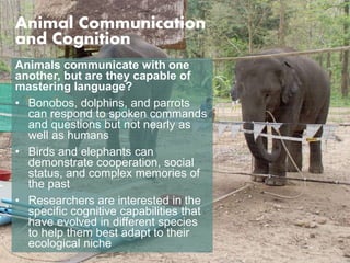 Animal Communication 
and Cognition 
Animals communicate with one 
another, but are they capable of 
mastering language? 
• Bonobos, dolphins, and parrots 
can respond to spoken commands 
and questions but not nearly as 
well as humans 
• Birds and elephants can 
demonstrate cooperation, social 
status, and complex memories of 
the past 
• Researchers are interested in the 
specific cognitive capabilities that 
have evolved in different species 
to help them best adapt to their 
ecological niche 
 