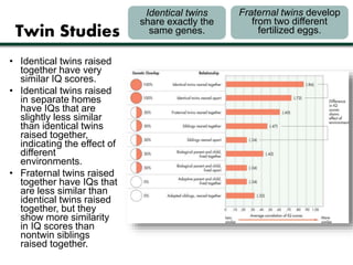 Twin Studies 
Identical twins 
share exactly the 
same genes. 
Fraternal twins develop 
from two different 
fertilized eggs. 
• Identical twins raised 
together have very 
similar IQ scores. 
• Identical twins raised 
in separate homes 
have IQs that are 
slightly less similar 
than identical twins 
raised together, 
indicating the effect of 
different 
environments. 
• Fraternal twins raised 
together have IQs that 
are less similar than 
identical twins raised 
together, but they 
show more similarity 
in IQ scores than 
nontwin siblings 
raised together. 
 