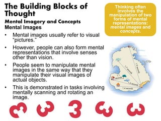 The Building Blocks of 
Thought 
Mental Imagery and Concepts 
Mental Images 
• Mental images usually refer to visual 
“pictures.” 
• However, people can also form mental 
representations that involve senses 
other than vision. 
• People seem to manipulate mental 
images in the same way that they 
manipulate their visual images of 
actual objects. 
• This is demonstrated in tasks involving 
mentally scanning and rotating an 
image. 
Thinking often 
involves the 
manipulation of two 
forms of mental 
representations: 
mental images and 
concepts. 
 