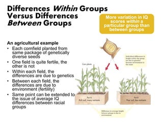 Differences Within Groups 
Versus Differences 
Between Groups 
An agricultural example 
• Each cornfield planted from 
same package of genetically 
diverse seeds 
• One field is quite fertile, the 
other is not 
• Within each field, the 
differences are due to genetics 
• Between each field, the 
differences are due to 
environment (fertility) 
• Same point can be extended to 
the issue of average IQ 
differences between racial 
groups 
More variation in IQ 
scores within a 
particular group than 
between groups 
 