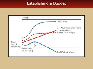 Establishing a Budget 
 