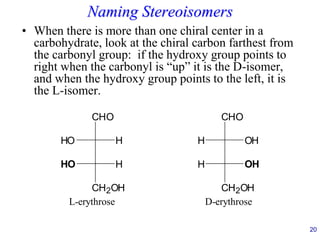 20
Naming Stereoisomers
• When there is more than one chiral center in a
carbohydrate, look at the chiral carbon farthest from
the carbonyl group: if the hydroxy group points to
right when the carbonyl is “up” it is the D-isomer,
and when the hydroxy group points to the left, it is
the L-isomer.
CHO
H
HO H OH
CHO
CH2OH
HO H
CH2OH
OH
H
D-erythrose
L-erythrose
 