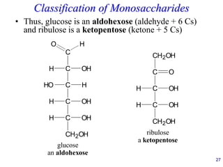 27
Classification of Monosaccharides
• Thus, glucose is an aldohexose (aldehyde + 6 Cs)
and ribulose is a ketopentose (ketone + 5 Cs)
C
C
O H
H OH
C
HO H
C
C
OH
H
CH2OH
OH
H
glucose
an aldohexose
C
CH2OH
O
C
H OH
C
CH2OH
OH
H
ribulose
a ketopentose
 