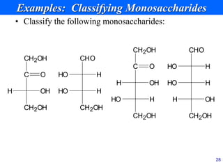 28
Examples: Classifying Monosaccharides
• Classify the following monosaccharides:
C
CH2OH
CH2OH
OH
H
O
CHO
CH2OH
H
HO
H
HO
C
CH2OH
OH
H
O
CH2OH
H
HO
CHO
H
HO
H
HO
CH2OH
OH
H
 