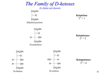 31
The Family of D-ketoses
(L-forms not shown)
O
CH2OH
CH2OH
Ketotriose
20
= 1
Dihydroxyacetone
O
CH2OH
CH2OH
OH
H
D-erythrulose
Ketotetroses
21
= 2
CH2OH
O
H OH
CH2OH
OH
H
CH2OH
O
HO H
CH2OH
OH
H
D-xylulose
D-ribulose
Ketopentoses
22
= 4
 