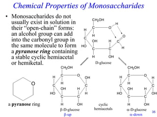 35
Chemical Properties of Monosaccharides
• Monosaccharides do not
usually exist in solution in
their “open-chain” forms:
an alcohol group can add
into the carbonyl group in
the same molecule to form
a pyranose ring containing
a stable cyclic hemiacetal
or hemiketal.
O
C
C
C C
C
CH2OH
H
H
HO
H OH
O
H
H
H
OH
O
C
C
C C
C
CH2OH
H
H
HO
H OH
H
OH
OH
H
O
C
C
C C
C
CH2OH
H
H
HO
H OH
H
OH
H
OH
-D-glucose -D-glucose
D-glucose
cyclic
hemiacetals
-up -down
O
a pyranose ring
 