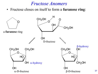 37
Fructose Anomers
• Fructose closes on itself to form a furanose ring:
O
a furanose ring
O
H
CH2OH
O
CH2OH
OH
OH
O
CH2OH
OH
HO
CH2OH
OH
O
CH2OH
OH
HO
OH
CH2OH
D-fructose
-D-fructose
-D-fructose
-hydroxy
-hydroxy
 