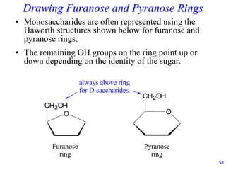 38
Drawing Furanose and Pyranose Rings
• Monosaccharides are often represented using the
Haworth structures shown below for furanose and
pyranose rings.
• The remaining OH groups on the ring point up or
down depending on the identity of the sugar.
O
CH2OH
O
CH2OH
Furanose
ring
Pyranose
ring
always above ring
for D-saccharides
 