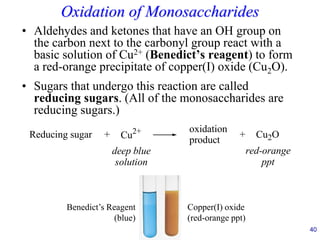 40
Oxidation of Monosaccharides
• Aldehydes and ketones that have an OH group on
the carbon next to the carbonyl group react with a
basic solution of Cu2+ (Benedict’s reagent) to form
a red-orange precipitate of copper(I) oxide (Cu2O).
• Sugars that undergo this reaction are called
reducing sugars. (All of the monosaccharides are
reducing sugars.)
Reducing sugar + Cu2+ oxidation
product
+ Cu2O
deep blue
solution
red-orange
ppt
Benedict’s Reagent
(blue)
Copper(I) oxide
(red-orange ppt)
 