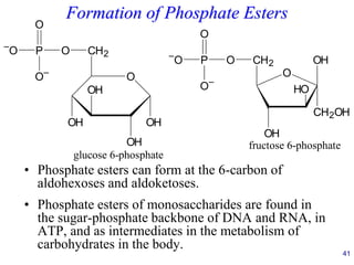 41
Formation of Phosphate Esters
• Phosphate esters can form at the 6-carbon of
aldohexoses and aldoketoses.
• Phosphate esters of monosaccharides are found in
the sugar-phosphate backbone of DNA and RNA, in
ATP, and as intermediates in the metabolism of
carbohydrates in the body.
O
CH2
OH
OH
OH
OH
O
P
O
O–
–
O
glucose 6-phosphate
O
CH2
OH
HO
OH
CH2OH
O
P
–
O
O–
O
fructose 6-phosphate
 