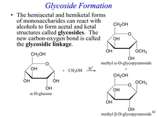 42
Glycoside Formation
• The hemiacetal and hemiketal forms
of monosaccharides can react with
alcohols to form acetal and ketal
structures called glycosides. The
new carbon-oxygen bond is called
the glycosidic linkage.
O
CH2OH
OH
OH
OH
OH
O
CH2OH
OH
OH
OH
OCH3
O
CH2OH
OH
OH
OH
+
OCH3
methyl -D-glycopyranoside
-D-glucose
methyl -D-glycopyranoside
+
CH3OH H+
 