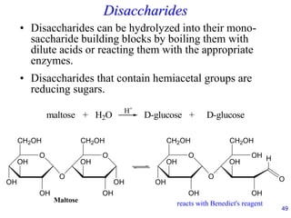 Disaccharides
• Disaccharides can be hydrolyzed into their mono-
saccharide building blocks by boiling them with
dilute acids or reacting them with the appropriate
enzymes.
• Disaccharides that contain hemiacetal groups are
reducing sugars.
49
O
CH2OH
O
OH
OH
OH
O
CH2OH
OH
OH
OH
Maltose
O
CH2OH
O
OH
OH
OH
OH
CH2OH
O
OH
OH H
reacts with Benedict's reagent
maltose + H2O D-glucose + D-glucose
H+
 