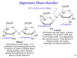 50
Important Disaccharides
O
CH2OH
O
OH
OH
OH
O
CH2OH
OH
OH
OH
-D-glucose -D-glucose
Maltose
Also known as malt sugar. It is
produced in germinating grain (such
as barley) as starch is broken down
during malting, and is formed
during the hydrolysis of starch to
glucose during digestion.
O
CH2OH
OH
OH
OH
O
O
CH2OH
OH
OH
OH
(1→4) glycosidic linkage
-D-galactose
-D-glucose
Lactose
Also known as milk sugar. Lactose
constitutes 5% of cow's milk and
7% of human milk. It is digested by
the enzyme lactase. Pure lactose is
found in whey, the watery
byproduct of cheese production.
 