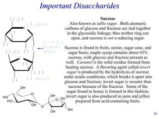 51
Important Disaccharides
O
C H 2 O H
O
C H 2 O H
O H
O H
O H
O
C H 2 O H
H O
O H
 - D - g l u c o s e
 - D - f r u c t o s e
 −  →  − 
g l y c o s i d i c
l i n k a g e
HO
O
HO
OH
OH
OH
O
OH
O
OH
OH
Sucrose
Also known as table sugar. Both anomeric
carbons of glucose and fructose are tied together
in the glycosidic linkage; thus neither ring can
open, and sucrose is not a reducing sugar.
Sucrose is found in fruits, nectar, sugar cane, and
sugar beets; maple syrup contains about 65%
sucrose, with glucose and fructose present as
well. Caramel is the solid residue formed from
heating sucrose. A flavoring agent called invert
sugar is produced by the hydrolysis of sucrose
under acidic conditions, which breaks it apart into
glucose and fructose; invert sugar is sweeter than
sucrose because of the fructose. Some of the
sugar found in honey is formed in this fashion;
invert sugar is also produced in jams and jellies
prepared from acid-containing fruits.
 