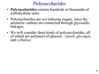 54
Polysaccharides
• Polysaccharides contain hundreds or thousands of
carbohydrate units.
• Polysaccharides are not reducing sugars, since the
anomeric carbons are connected through glycosidic
linkages.
• We will consider three kinds of polysaccharides, all
of which are polymers of glucose: starch, glycogen,
and cellulose.
 