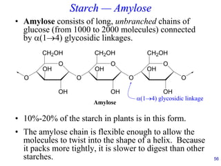 Starch — Amylose
• Amylose consists of long, unbranched chains of
glucose (from 1000 to 2000 molecules) connected
by (1→4) glycosidic linkages.
• 10%-20% of the starch in plants is in this form.
• The amylose chain is flexible enough to allow the
molecules to twist into the shape of a helix. Because
it packs more tightly, it is slower to digest than other
starches. 56
O
CH2OH
OH
OH
O
O
O
CH2OH
OH
OH
O
O
CH2OH
OH
OH
O
(1→4) glycosidic linkage
Amylose
 