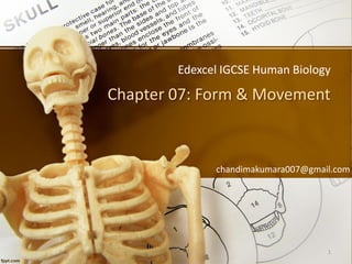 Chapter 07: Form & Movement
Edexcel IGCSE Human Biology
chandimakumara007@gmail.com
1
 