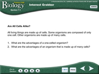 Are All Cells Alike? ,[object Object],[object Object],[object Object],Section 7-1 Interest Grabber 