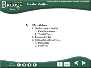 Chapter07 Revised | PPT