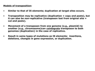 Models of transposition:
• Similar to that of IS elements; duplication at target sites occurs.
• Transposition may be replicative (duplication = copy and paste), but
it can also be non-replicative (transposon lost from original site =
cut and paste).
• Movement of a transposon from one genome (e.g., plasmid) to
another (e.g., chromosome)can cointegrate transposon to both
genomes (duplication) in the case of replicative.
• Result in same types of mutations as IS elements: insertions,
deletions, changes in gene expression, or duplication.
 