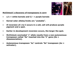 McClintock’s discovery of transposons in corn:
• c/c = white kernels and C/- = purple kernels
• Kernal color alleles/traits are “unstable”.
• If reversion of c to C occurs in a cell, cell will produce purple
pigment and a spot.
• Earlier in development reversion occurs, the larger the spot.
• McClintock concluded “c” allele results from a non-autonomous
transposon called “Ds” inserted into the “C” gene (Ds =
dissassociation).
• Autonomous transposon “Ac” controls “Ds” transposon (Ac =
activator).
 
