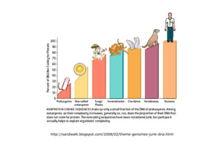 http://sandwalk.blogspot.com/2008/02/theme-genomes-junk-dna.html
 
