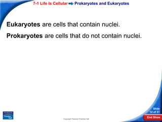 chapter07_section01_edit.ppt