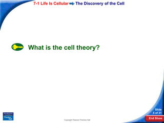 chapter07_section01_edit.ppt