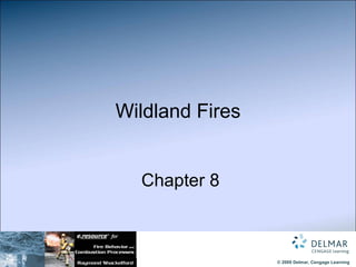 Wildland Fires   Chapter 8 