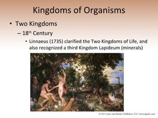 Kingdoms of Organisms Two Kingdoms 18 th  Century Linnaeus (1735) clarified the Two Kingdoms of Life, and also recognized a third Kingdom Lapideum (minerals) 